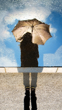 Umbrella story (7)