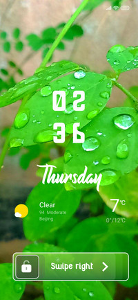 Plant_4