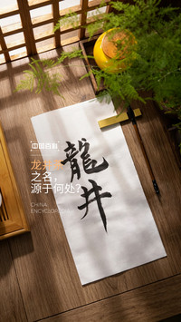 Resume of the queen of green tea 2