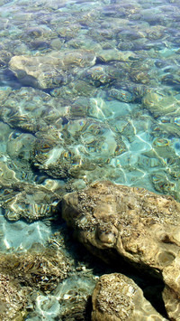 Rocky island seascape aerial view