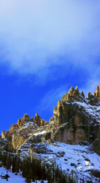 Nature HD - 2020-06-02T124256.588