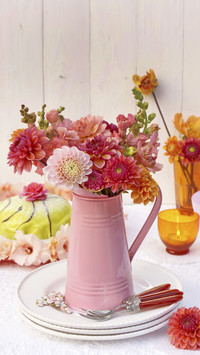 Plants suitable for office use 6
