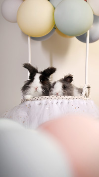Nurturing pets and exposing ones outlook on life