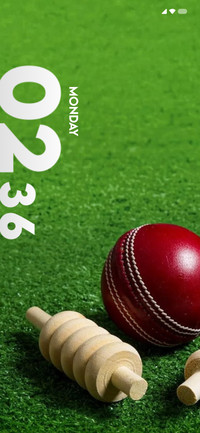 Bowling Cricket
