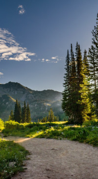 Roads &amp; Pathways (33)