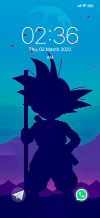 Shadow v13