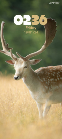 Vibrant Deer
