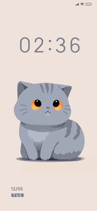 小灰英短猫咪