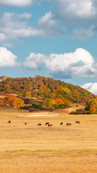 The longest grassland self driving route 2