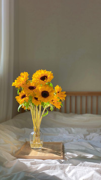 Sunflowers on the white bed