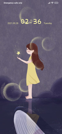 Brightest star