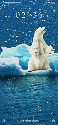 Polar Bear_3MDS