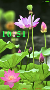 莲花净