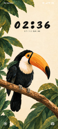 Toucan Afternoon