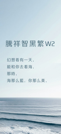 腾祥智黑繁W2