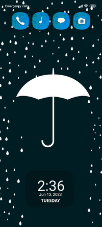 rain umbrella