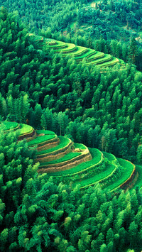 Top 10 Most Beautiful Terraces in China 6