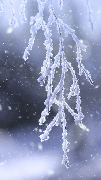 Is influenza a major cold