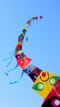 India-Kites