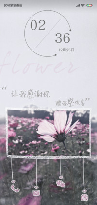 花花世界
