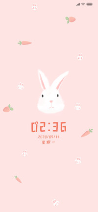 可爱兔子先生