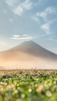 东瀛赏绿之旅