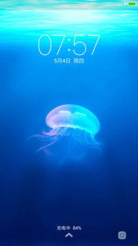 梦幻漂流之旅