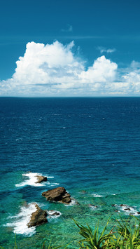 Reefs in the sea of okinawa