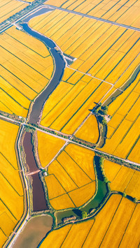 Strive for a good harvest of autumn grain 2