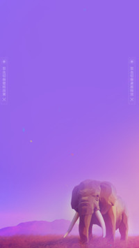 迷幻世界