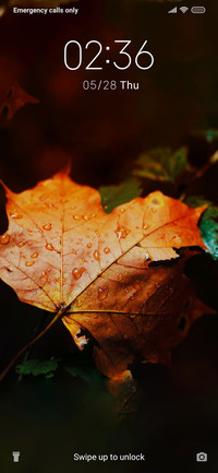 BrownLeaf_3MDS