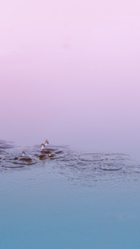 Monsoon Moods (1)