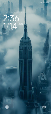 The morning fog