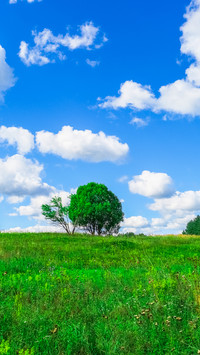 Green eye protection prairie wallpaper