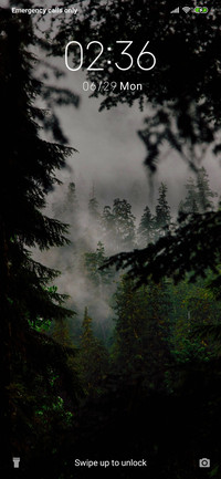 Rain Forest_3MDS