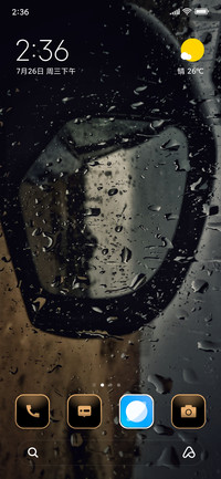 Dark Forsted Glass