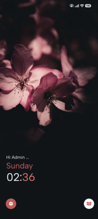 Velvet Bloom