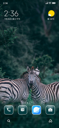 zebra