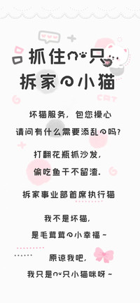 抓住一只拆家的小猫