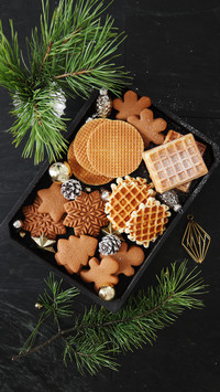 Vegetable Oil Delicious Cookies 9