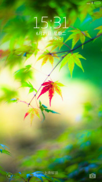 枫叶（好评送收费主题）