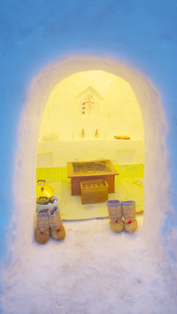 international-winter