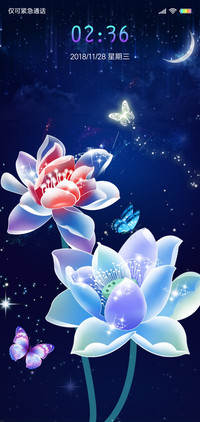 梦幻荷花 L