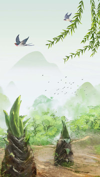 清明雨丝织乡愁