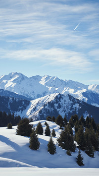 Winter beauty