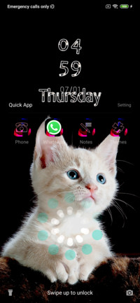 Cute Cat