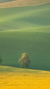 Green Fields Terraces in the Czech Republic's Moravia