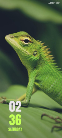 Wild Reptile
