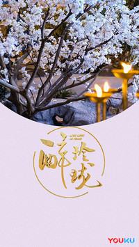 醉玲珑9