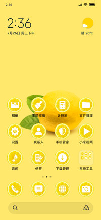Lemons_3MDS